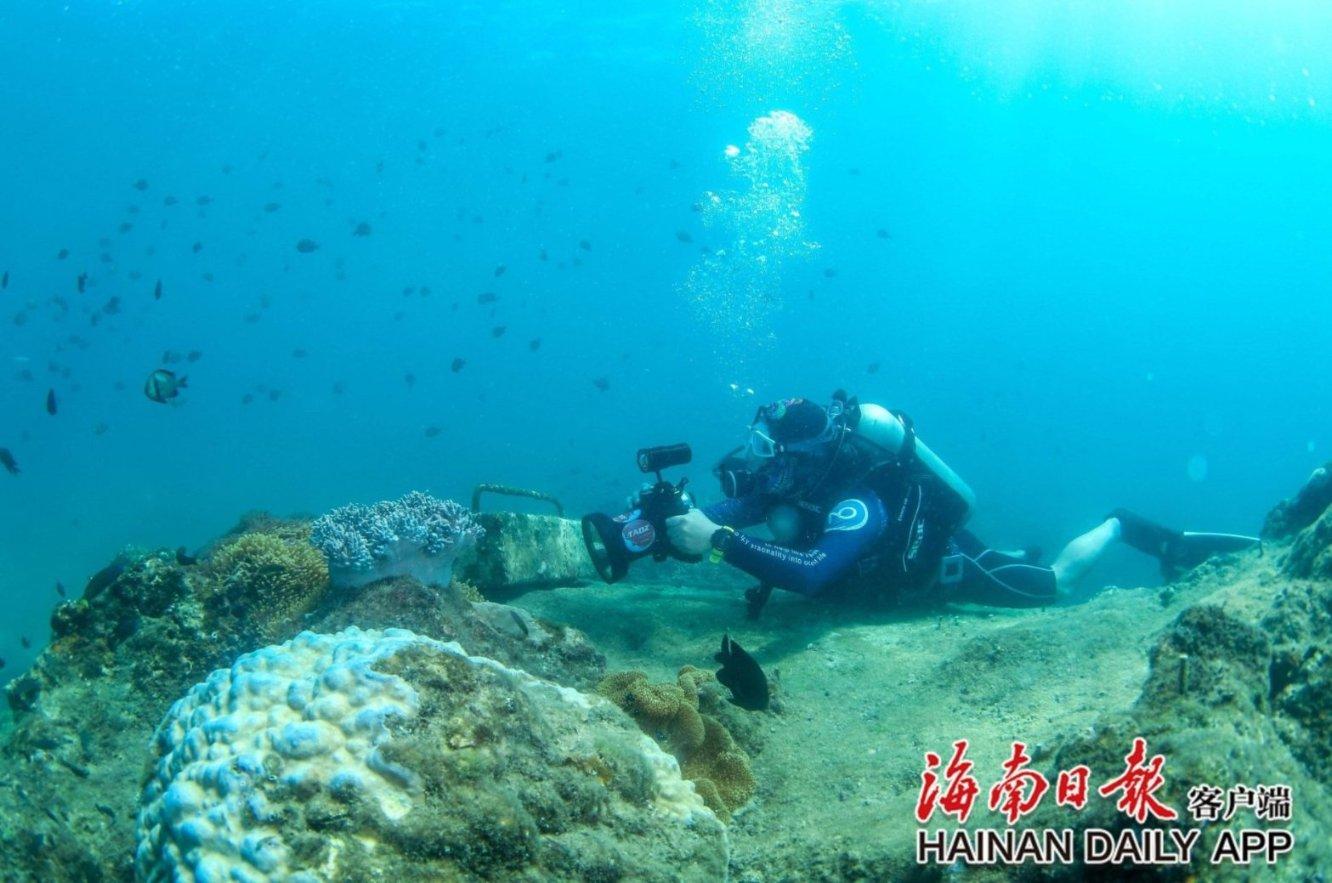 步是什么意思