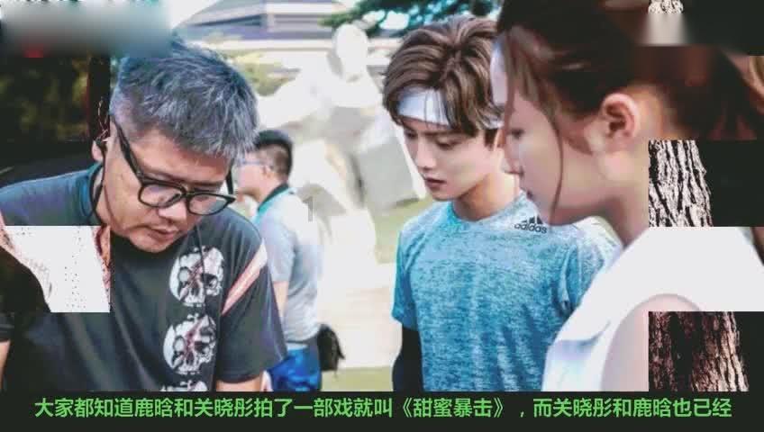 逗小猴开心系列178